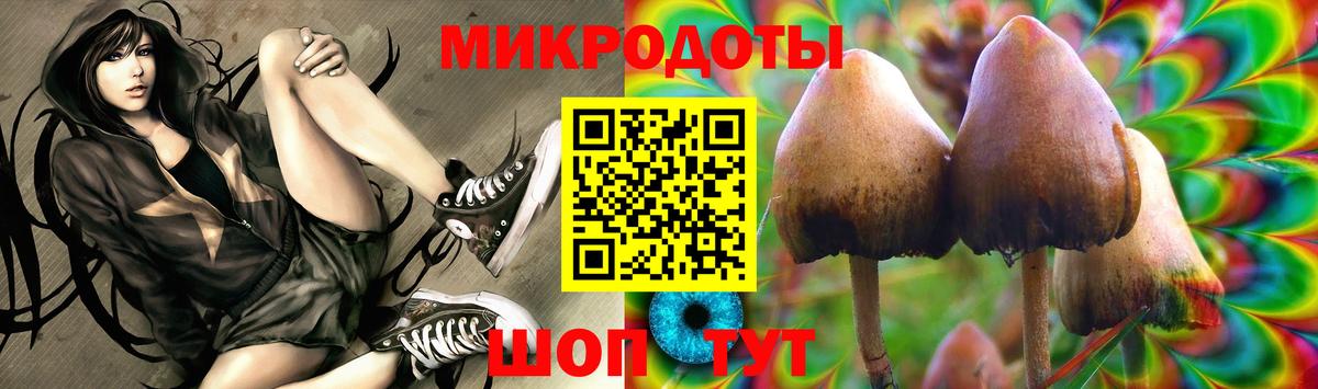 Псилоцибиновые грибы Cubensis  где купить   Асино  Вход с VPN 